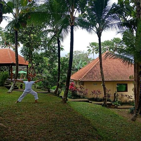 Argasoka Bungalows Ubud Exteriör bild