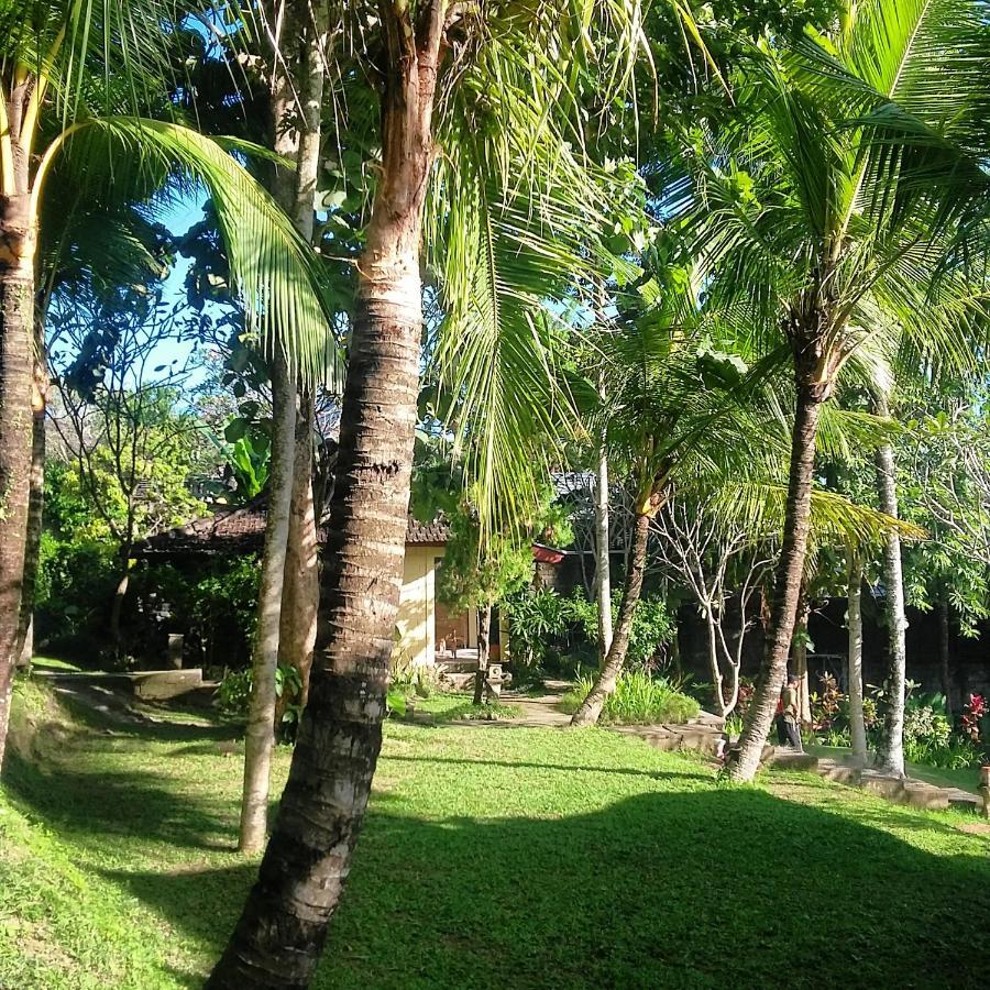 Argasoka Bungalows Ubud Exteriör bild