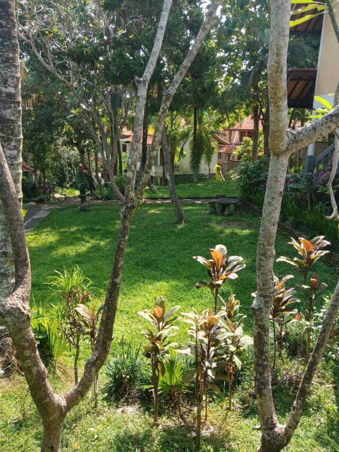 Argasoka Bungalows Ubud Exteriör bild