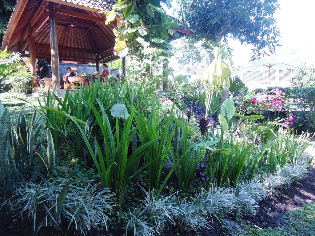 Argasoka Bungalows Ubud Exteriör bild