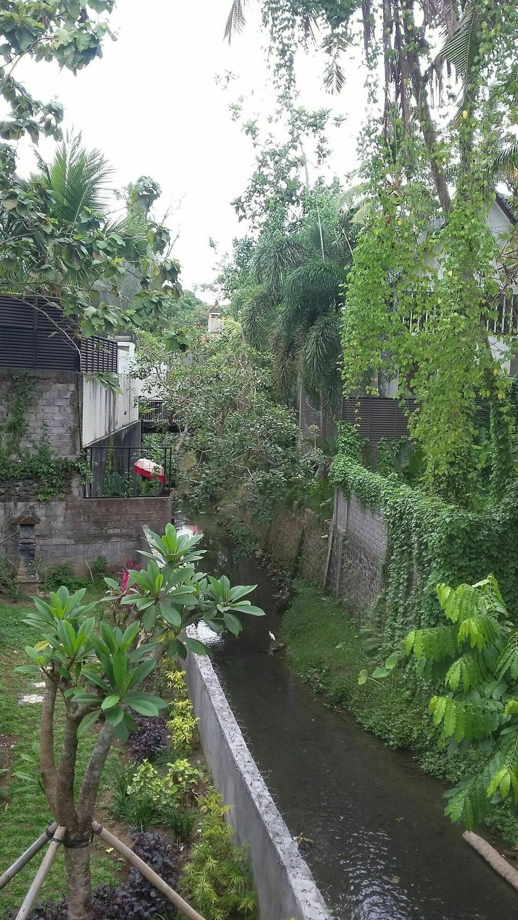 Argasoka Bungalows Ubud Exteriör bild