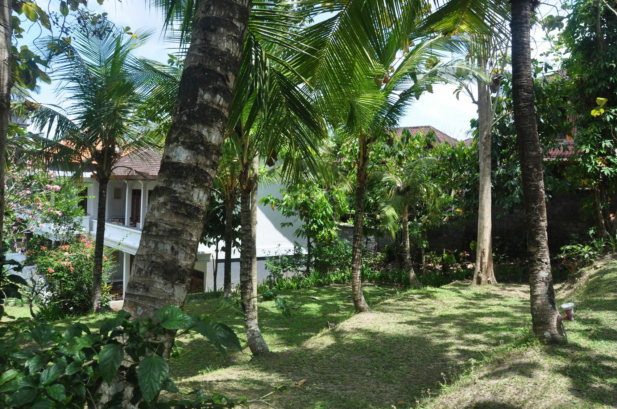 Argasoka Bungalows Ubud Exteriör bild